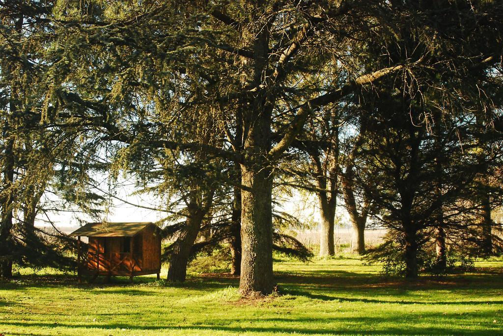 Estancia Loma Pampa Hotel Azul Buitenkant foto